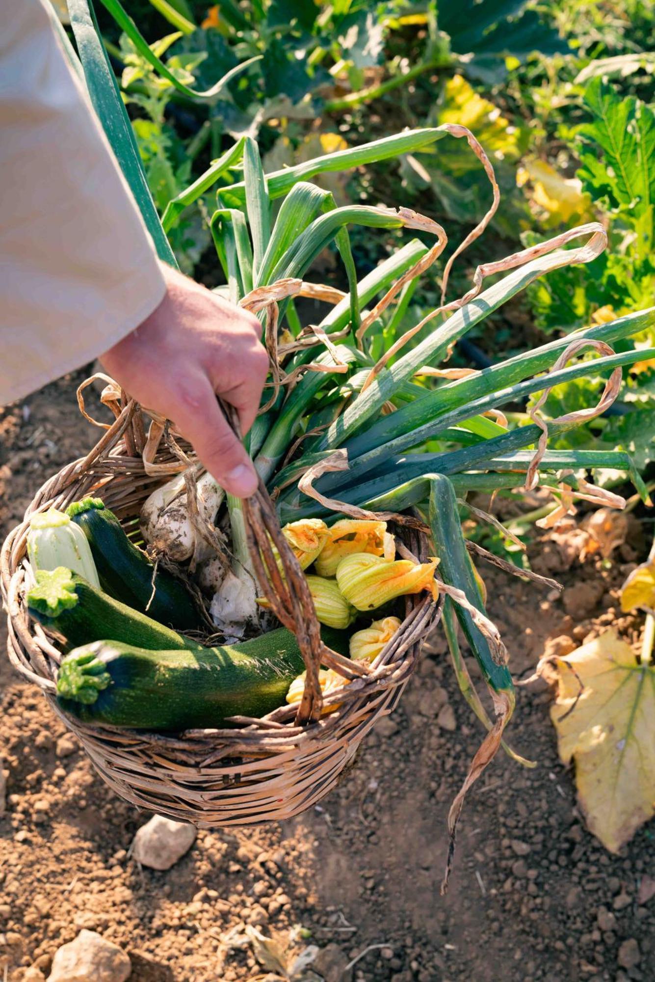Judeka Agriresort Caltagirone Εξωτερικό φωτογραφία