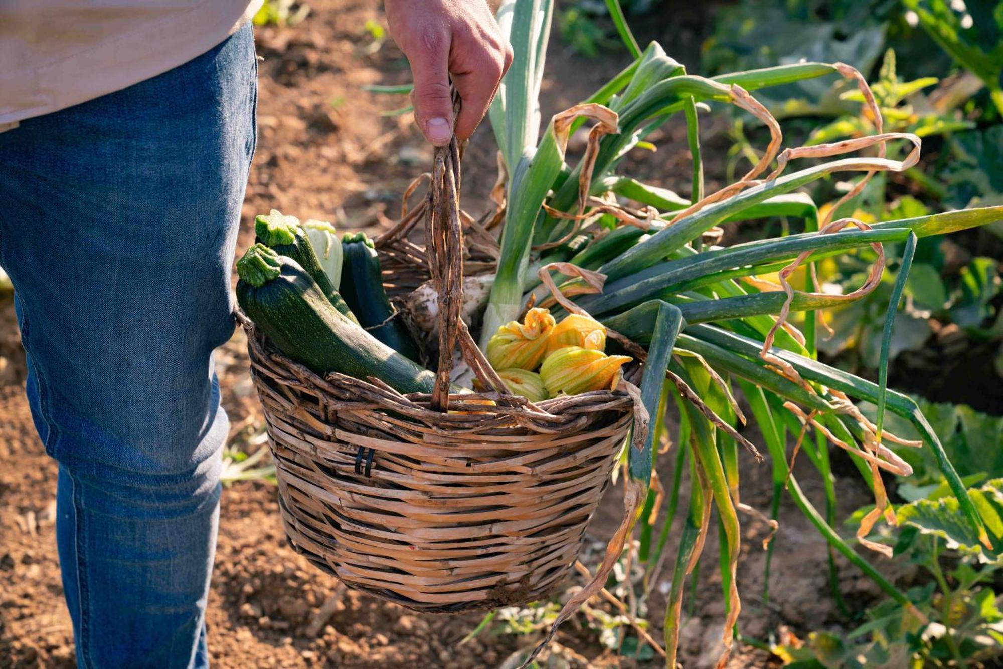 Judeka Agriresort Caltagirone Εξωτερικό φωτογραφία